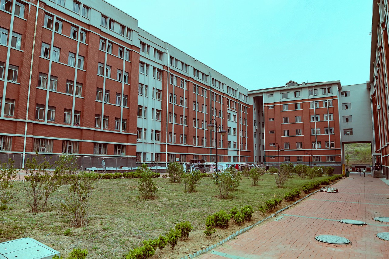 大连艺术学院详解,大连艺术学院值得吗