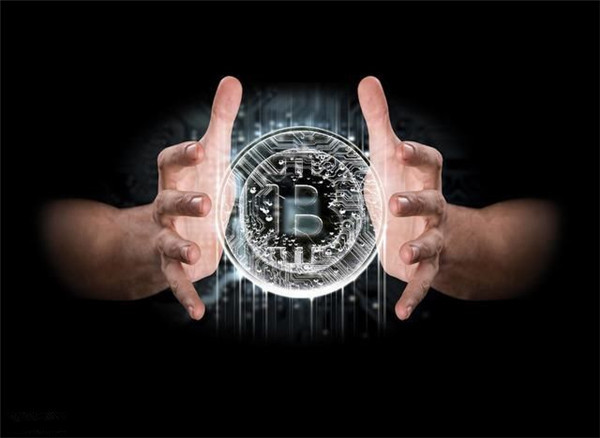 区块狗深度分析,区块狗最新信息