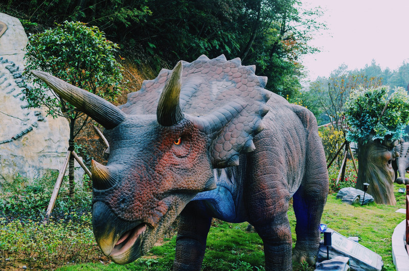 去奥陶纪的路线,梦幻奥陶纪景区路线