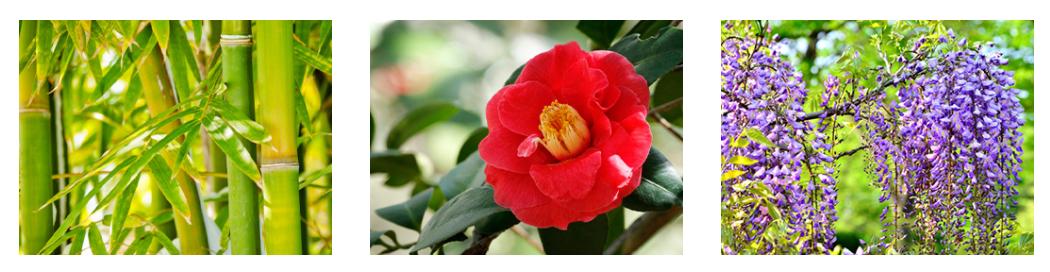 资生堂贵妇系列面霜,资生堂五合一面霜哪个系列最好用