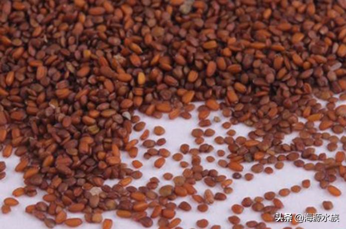 一入酒坑深似海从此钱财是路人,一入茅坑深似海下一句