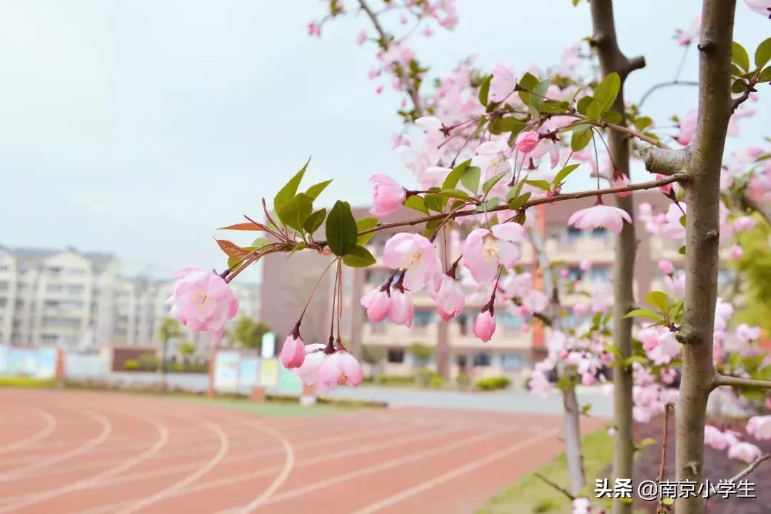 春和景明少年时,古雄小学2021年新生