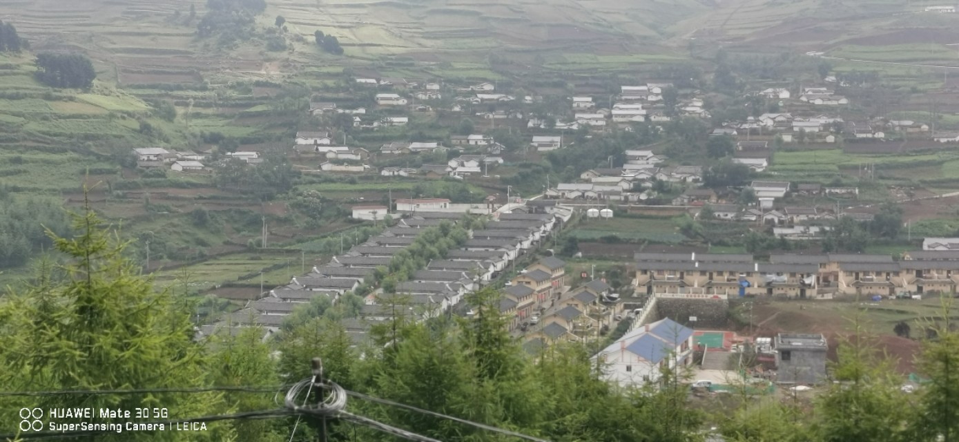 金阳之《天地精华》