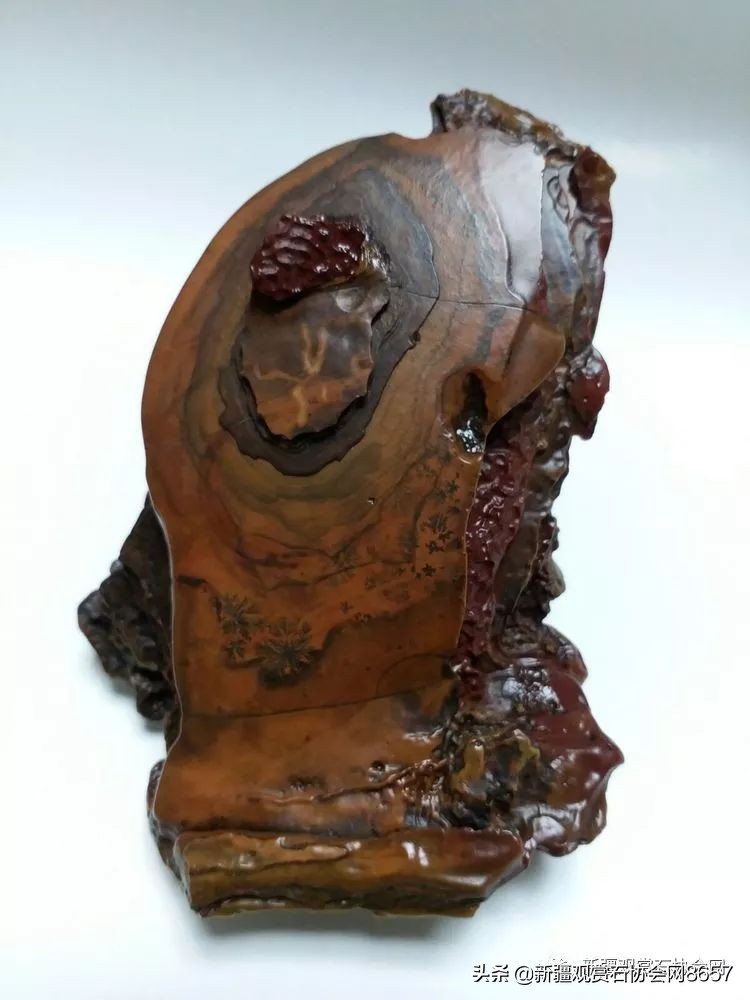 鎴堝鑰佺毊,鎴堝鑰佺毊鍜屾按鏅剁毊