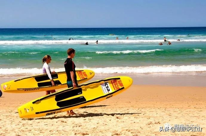 悉尼邦迪海滩,悉尼邦迪海滩新闻