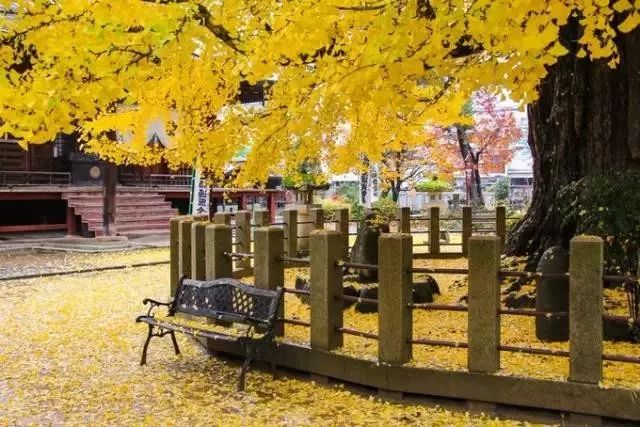 名古屋生活攻略,名古屋周边游线路攻略