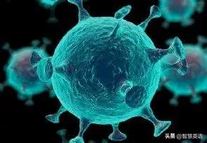 【热词打卡】从新冠疫情学英文