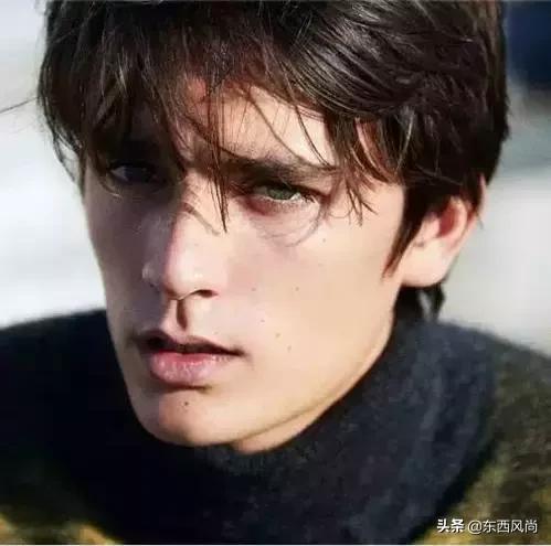 阿兰德龙和儿子演的电影,阿兰德龙儿子法比安