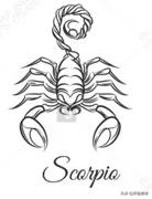 12星座艺术品味,十二星座品味特点