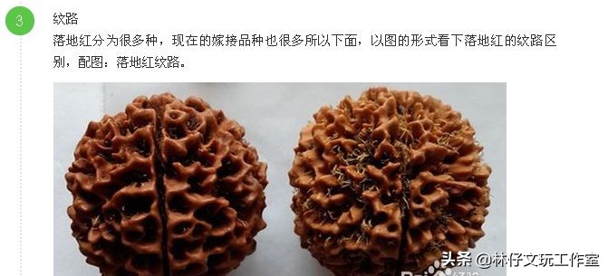 尼泊尔大金刚与落地红的简单区别,印尼大金刚就是落地红吗