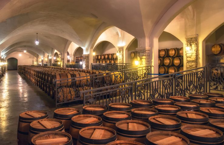 疯狂的瓶子捡玉视频,疯狂的瓶子视频