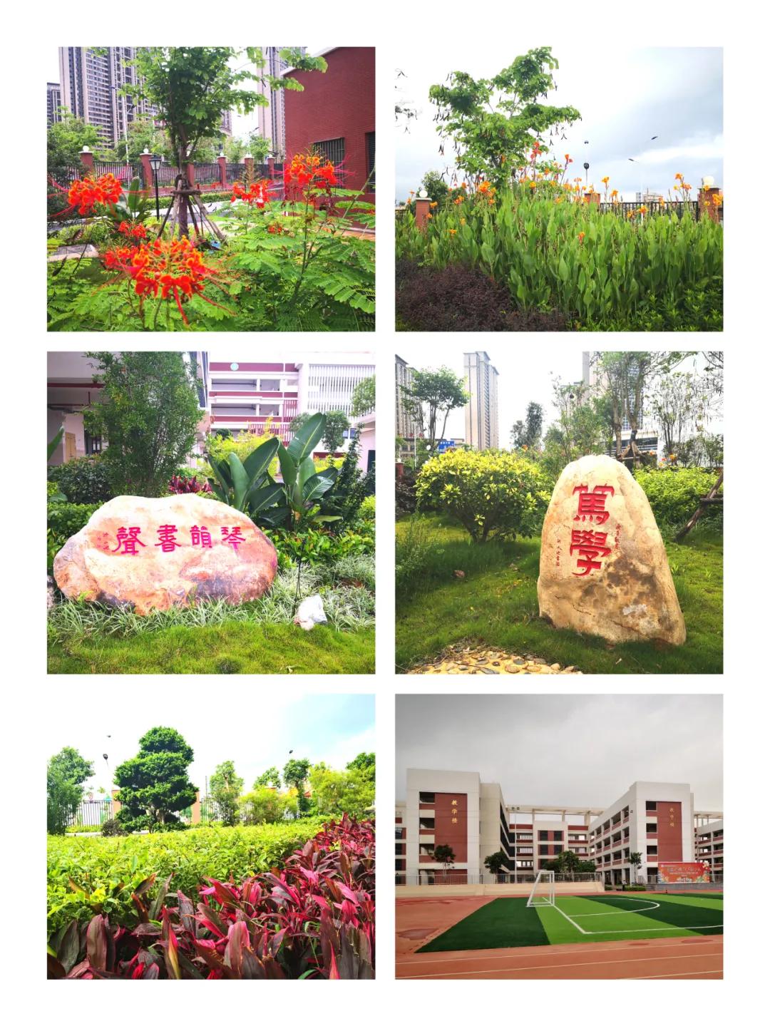 我们的校园3年级1班,我们的校园三年级下册