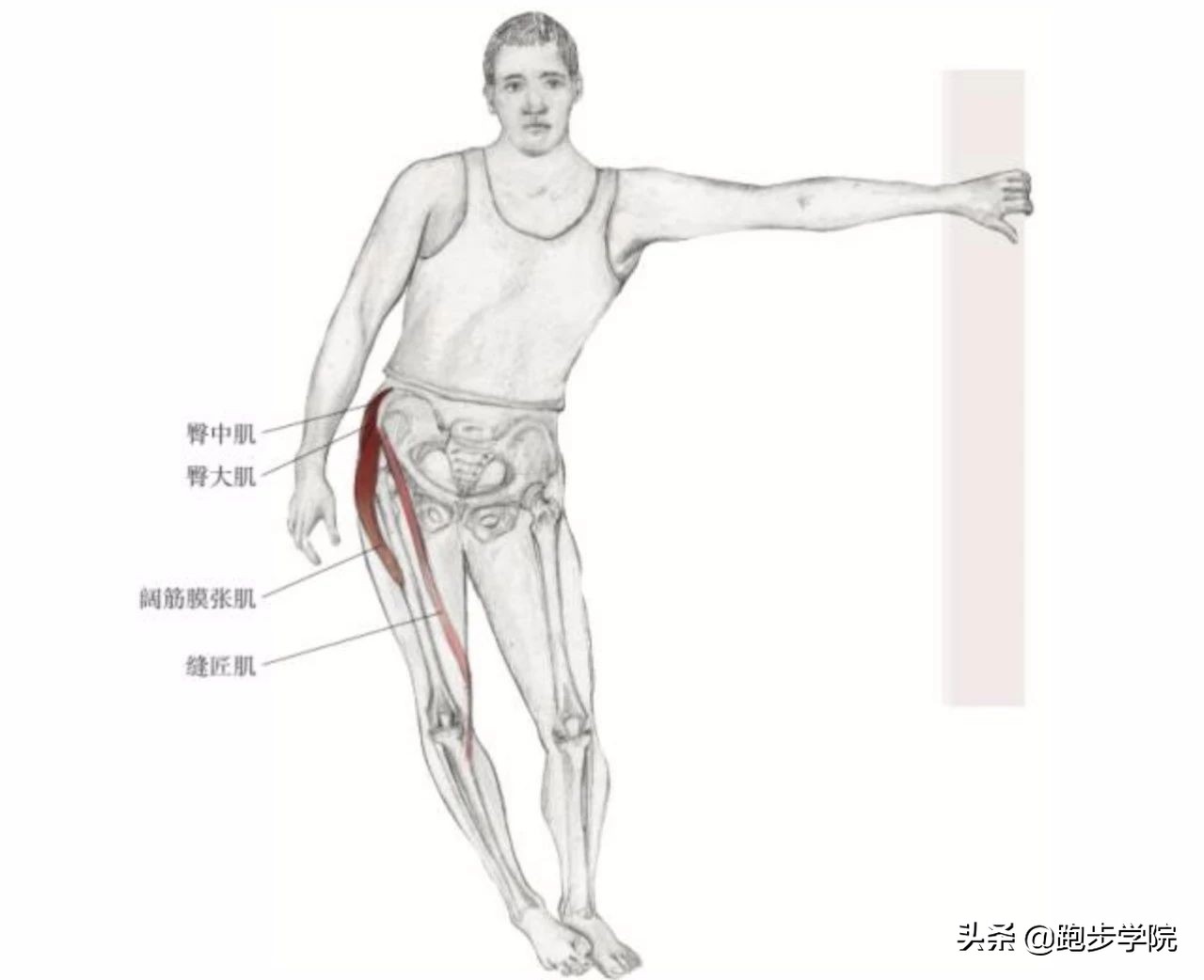 跑步膝盖痛该如何应对,关于跑步膝盖的损伤和恢复知识