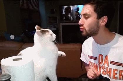 不要随便亲猫的后果,强行亲猫