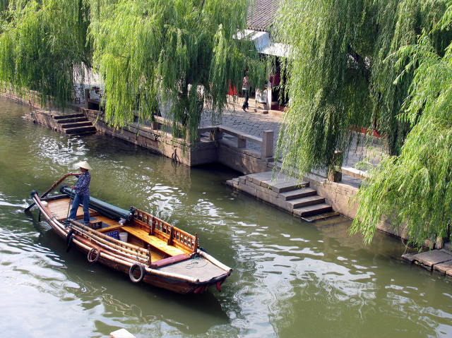 「趣说方言⑦」湖北为何把“柳树”称为“杨树”？