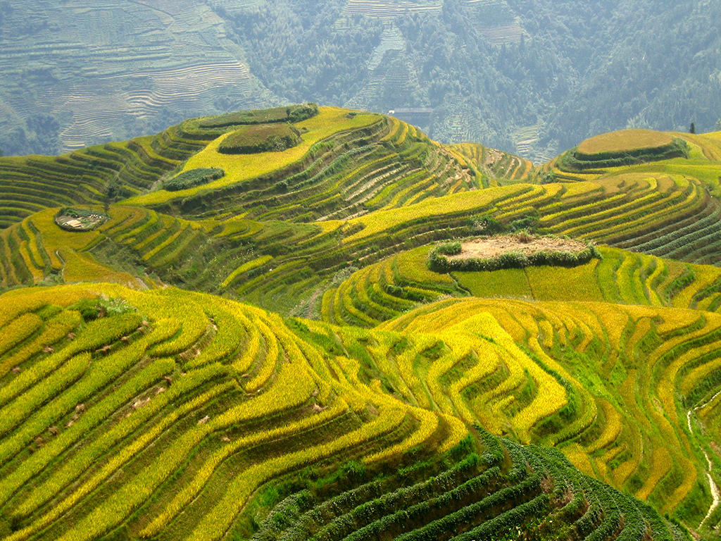 桂林阳朔旅游攻略最新,桂林阳朔旅游美食攻略