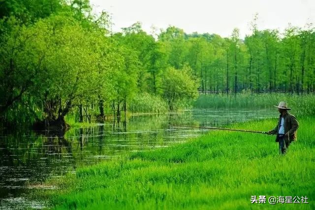 无锡十大免费公园排名榜最新,无锡晚上公园免费景点