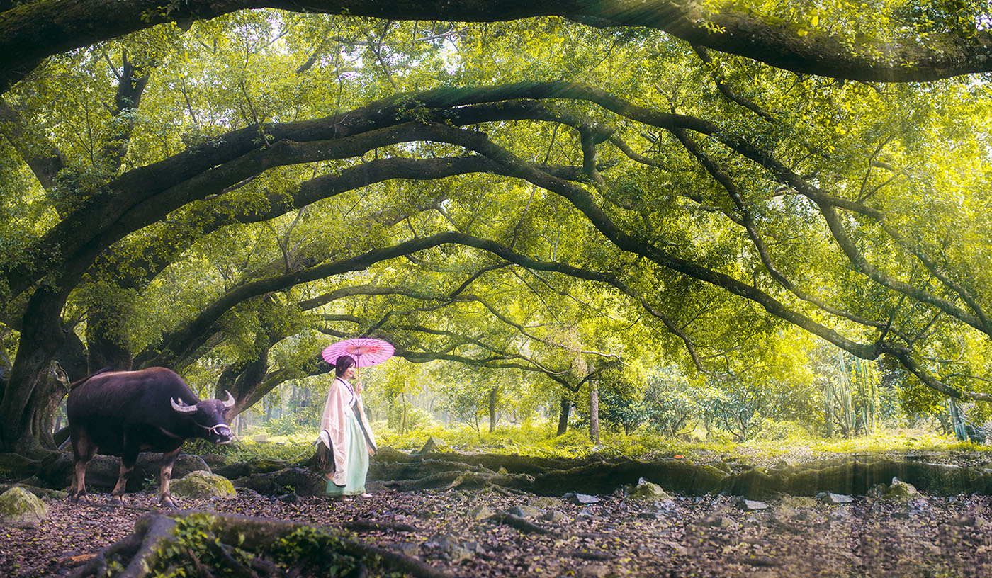 特殊的顶级机和半画幅中的战斗机——弯弯谈摄影器材（5）