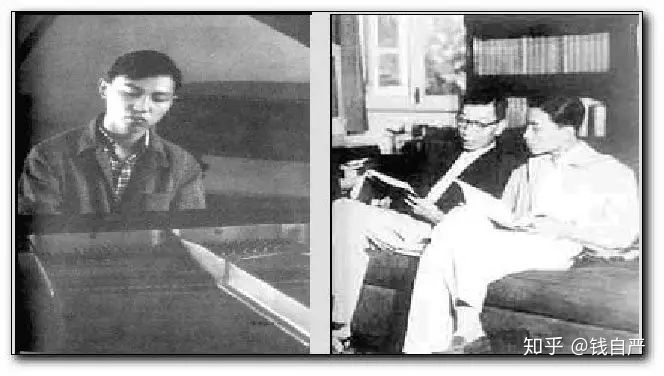 做一只会搭狐狸顺风车的刺猬