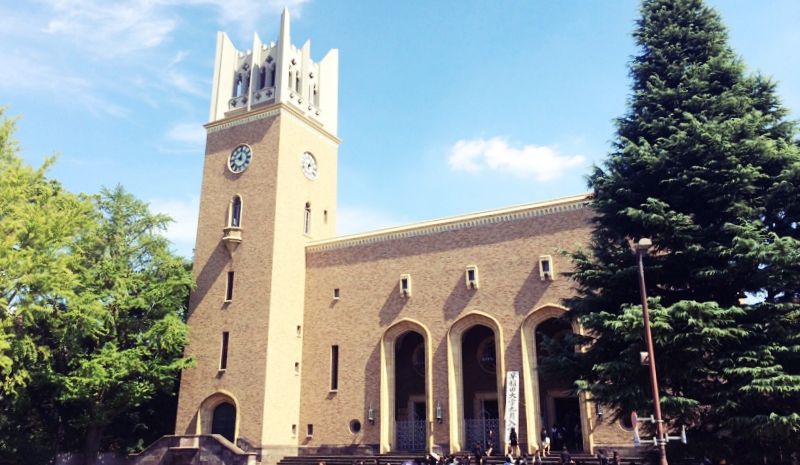 想进联合国可以选什么专业,读什么专业可以进入联合国