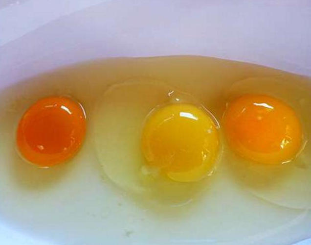 什么样的土鸡蛋质量最好,土鸡蛋贵在哪里