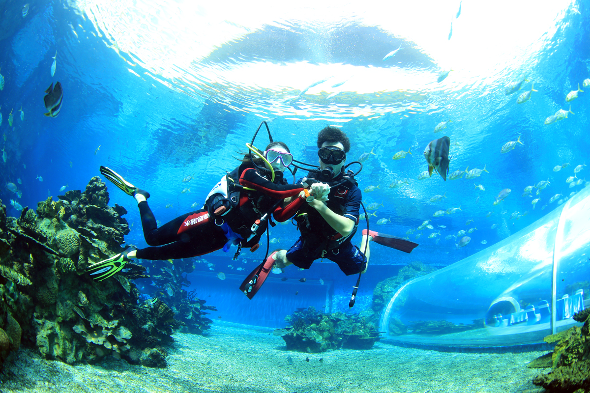 去三亚潜水哪个湾最好,三亚旅游潜水攻略自由行