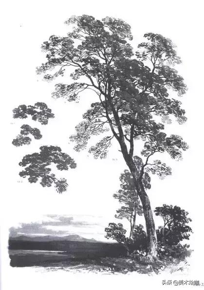 静物素描风景图临摹,简单又好画的彩铅素描风景图