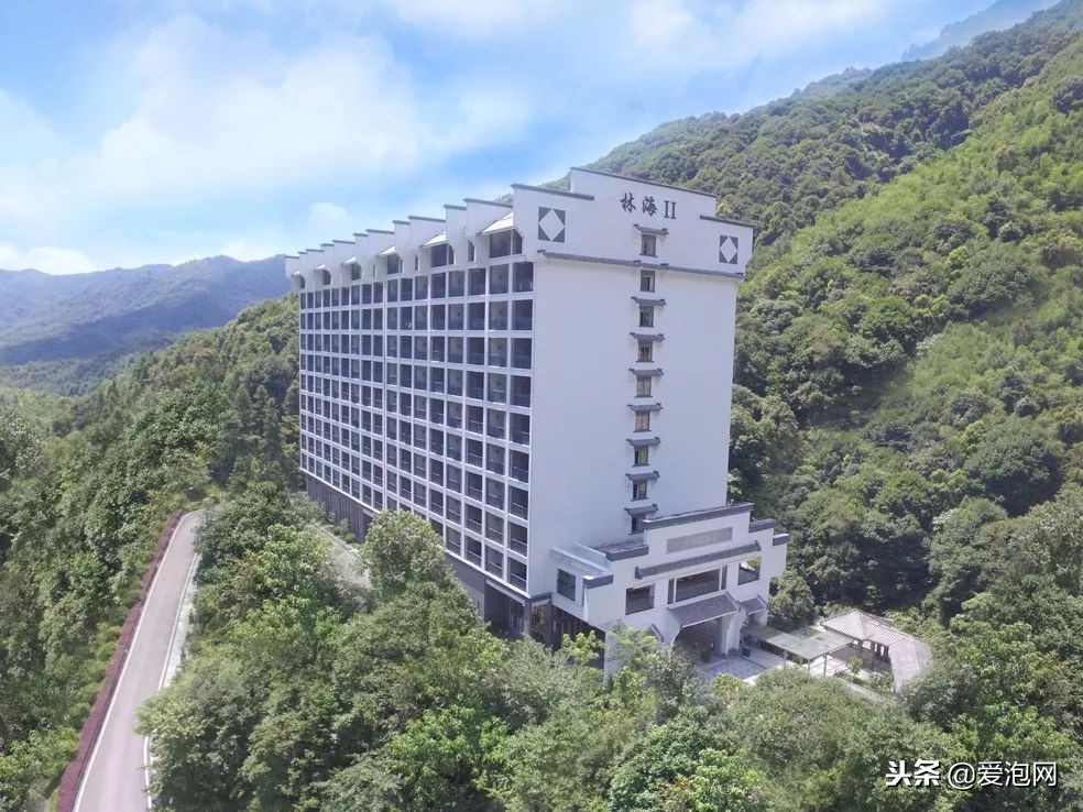 广东森林海温泉酒店攻略,广东云天海原始森林温泉度假村