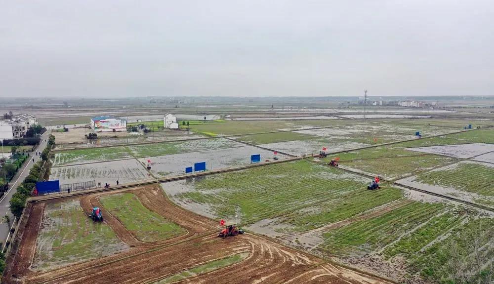 鄱湖之滨鱼米之乡,江西鄱阳湖