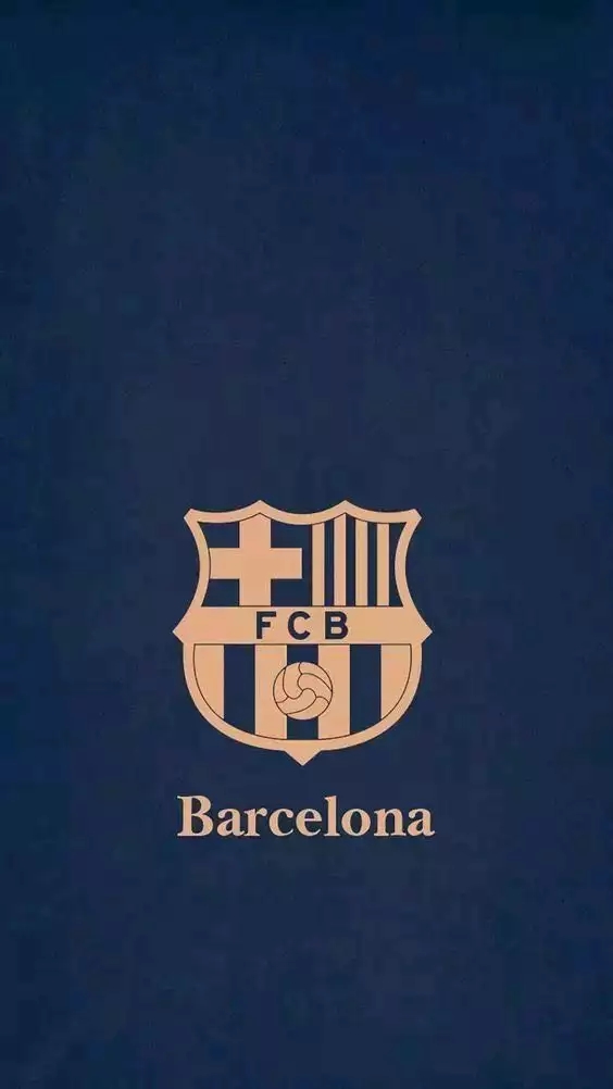 巴萨铁血队队长普约尔,巴萨队徽图片原图