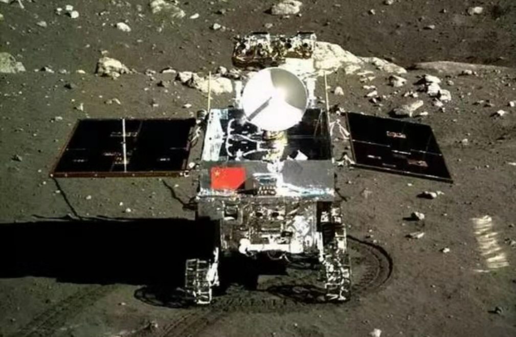 兔为什么叫玉兔,白兔为什么叫白兔