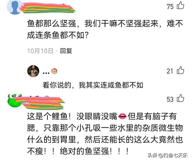 现实版“鱼坚强”！贵州一男子发现“无头鱼”，没了头竟然还能活