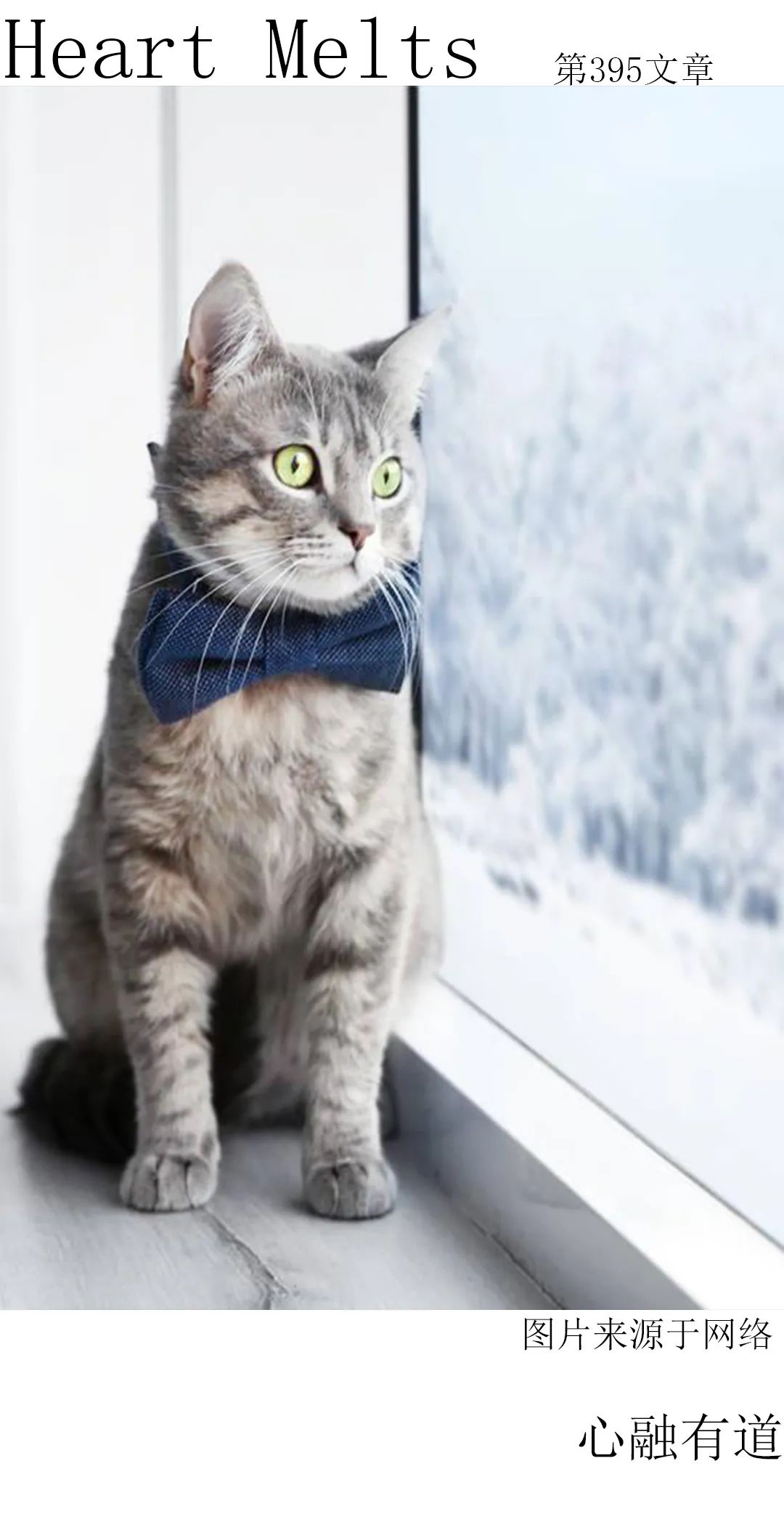 相处三年的男朋友,相处了三年的男朋友