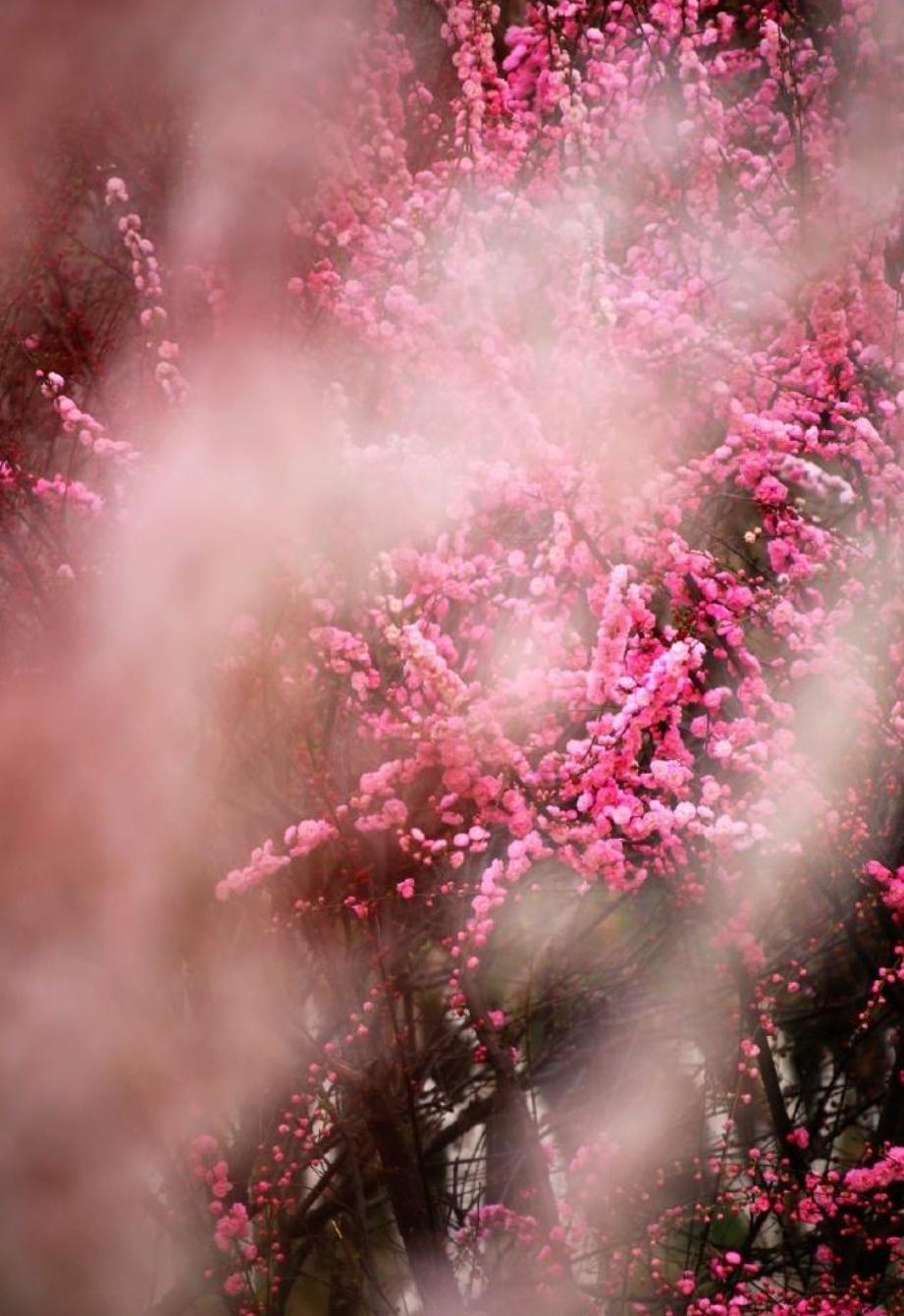 十首写春天的诗,十二首春词