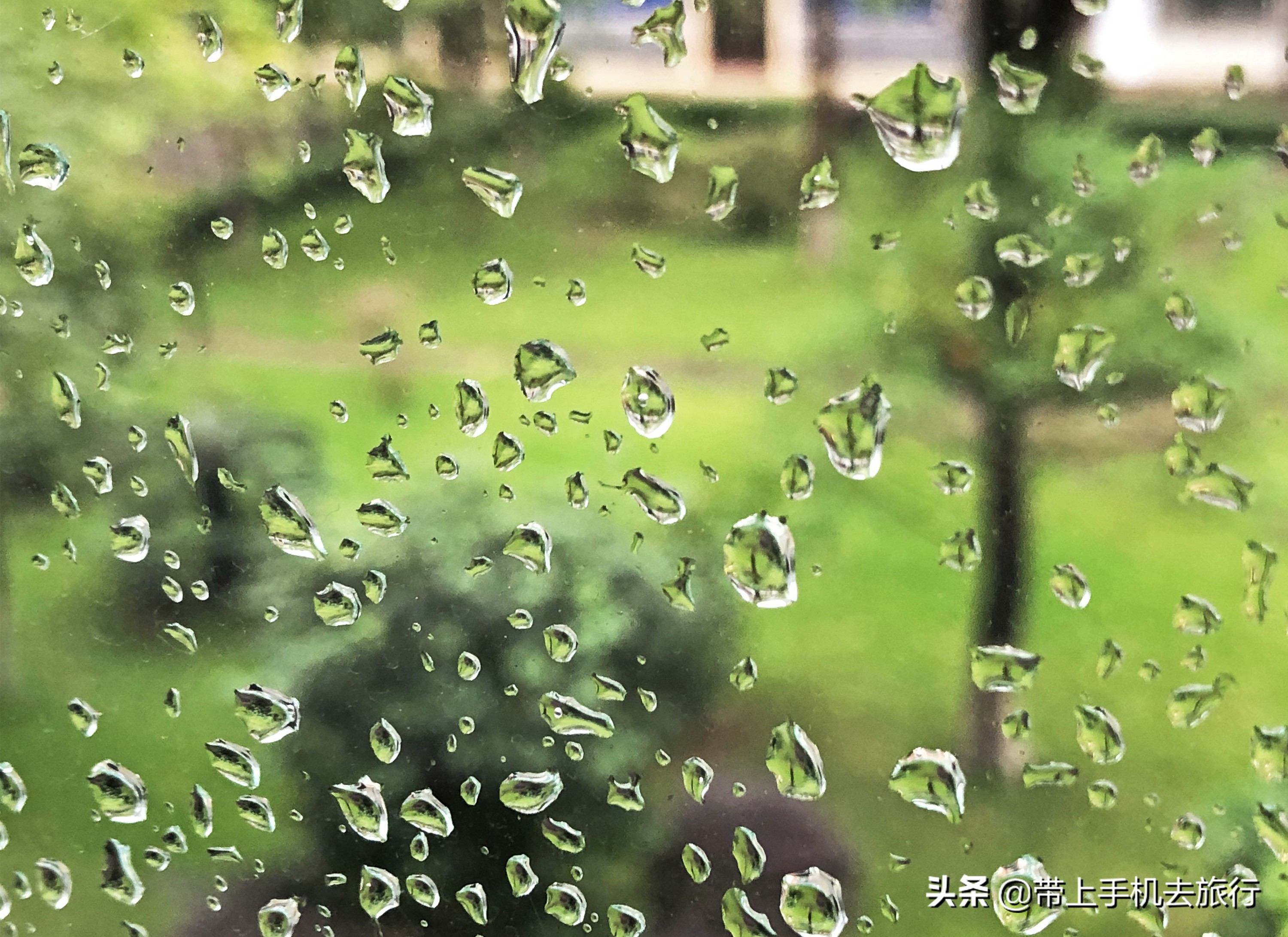 “减法”、虚化和“加法”，让画面瞬间干净简洁唯美