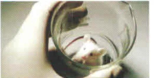 长效抗菌最好的技术,物理抗菌新技术