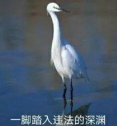 3n口罩介绍,3m防尘口罩