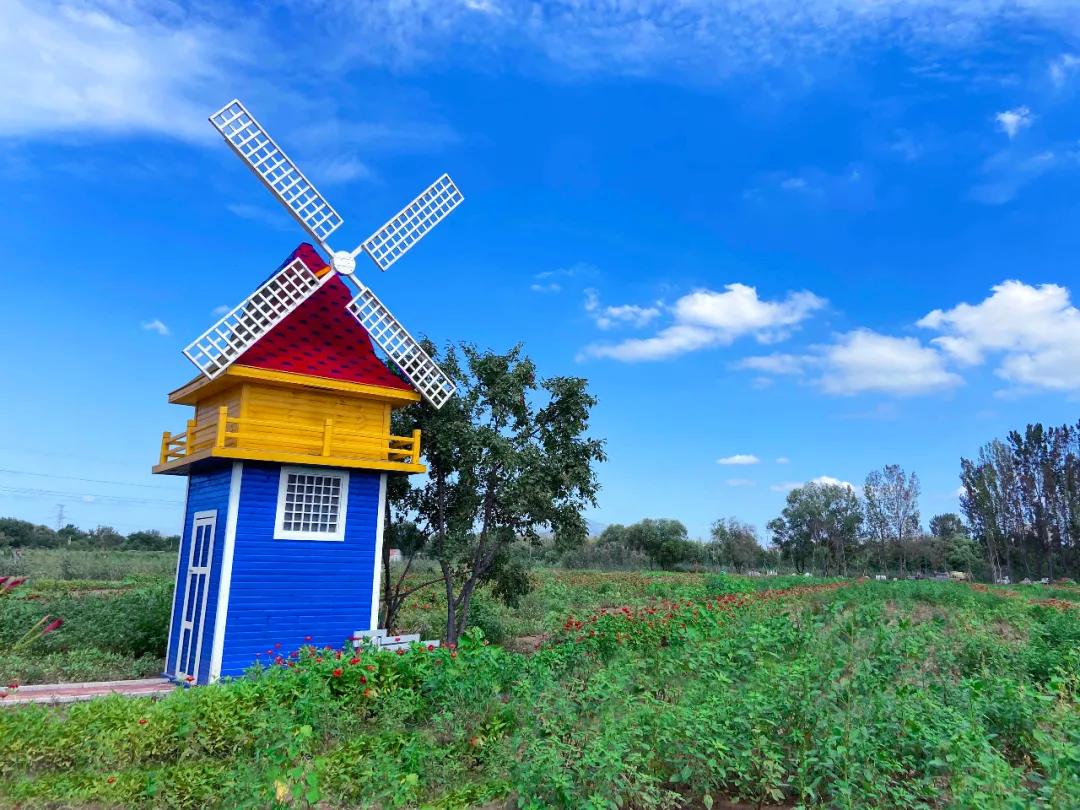 甘露花海最美打卡地点,花海风光打卡地