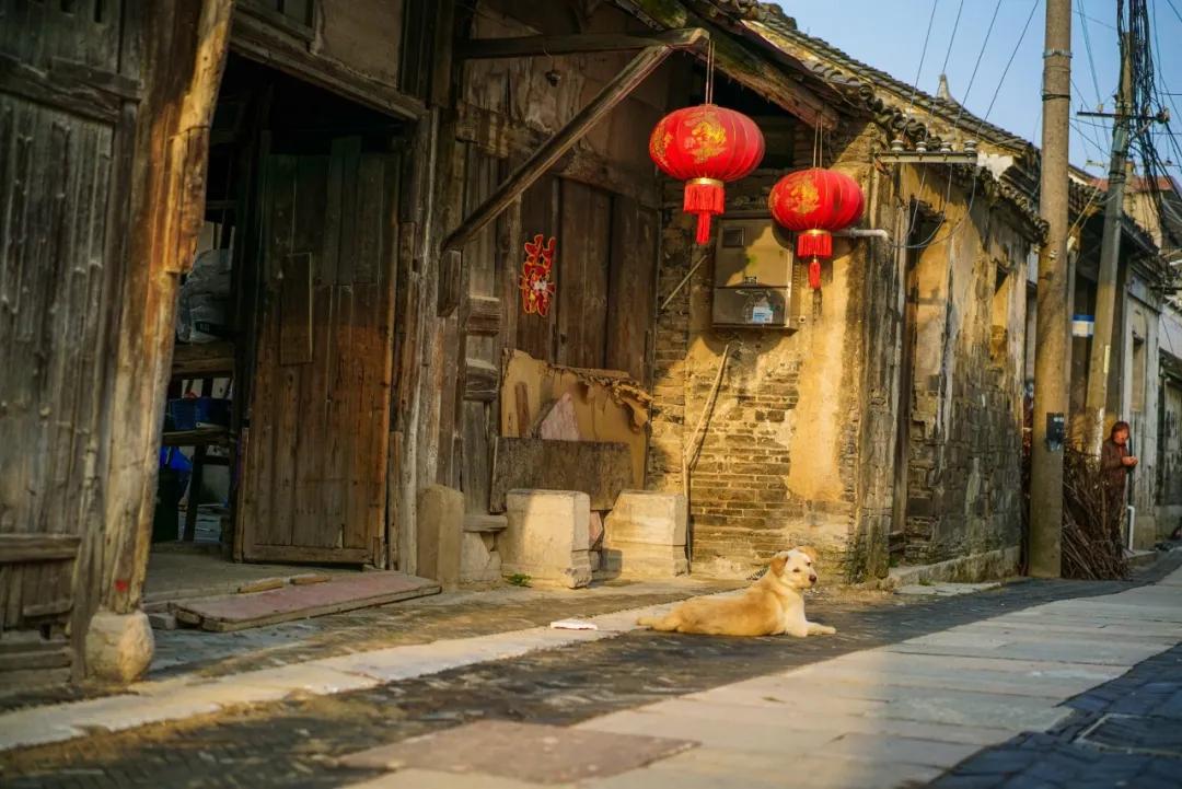 苏州旅游攻略元旦适合去吗,元旦旅游推荐苏州周边景点