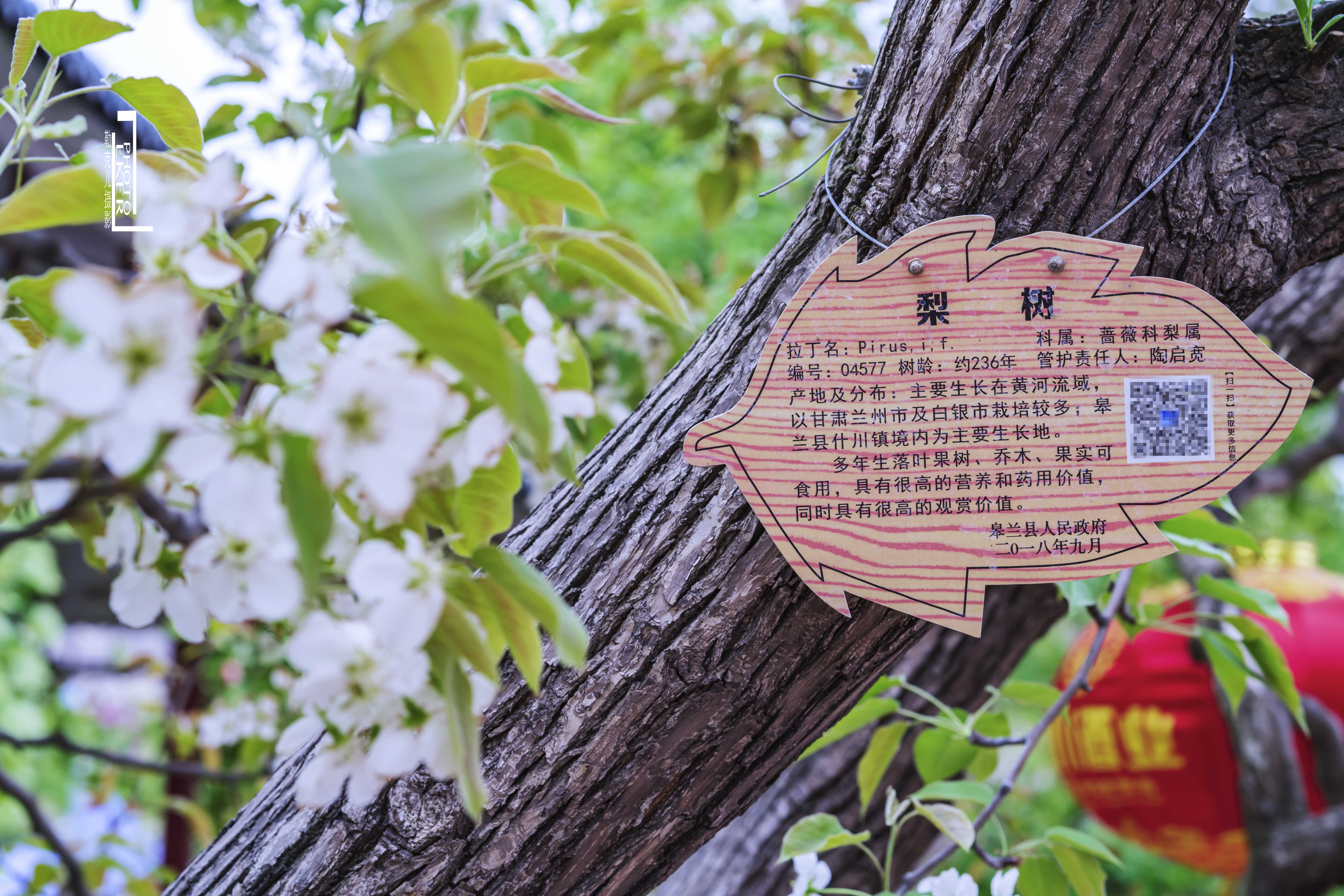 大西北戈壁滩怎么形成的,我国西北地区大戈壁滩形成原因