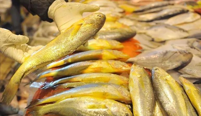 十大最好吃又实惠的海鱼,好吃不贵一斤左右的海鱼有哪些