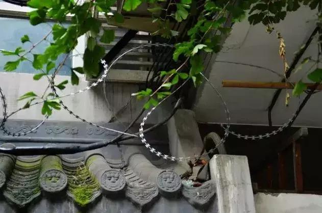 成都近郊10个免费景点,成都小众景点推荐