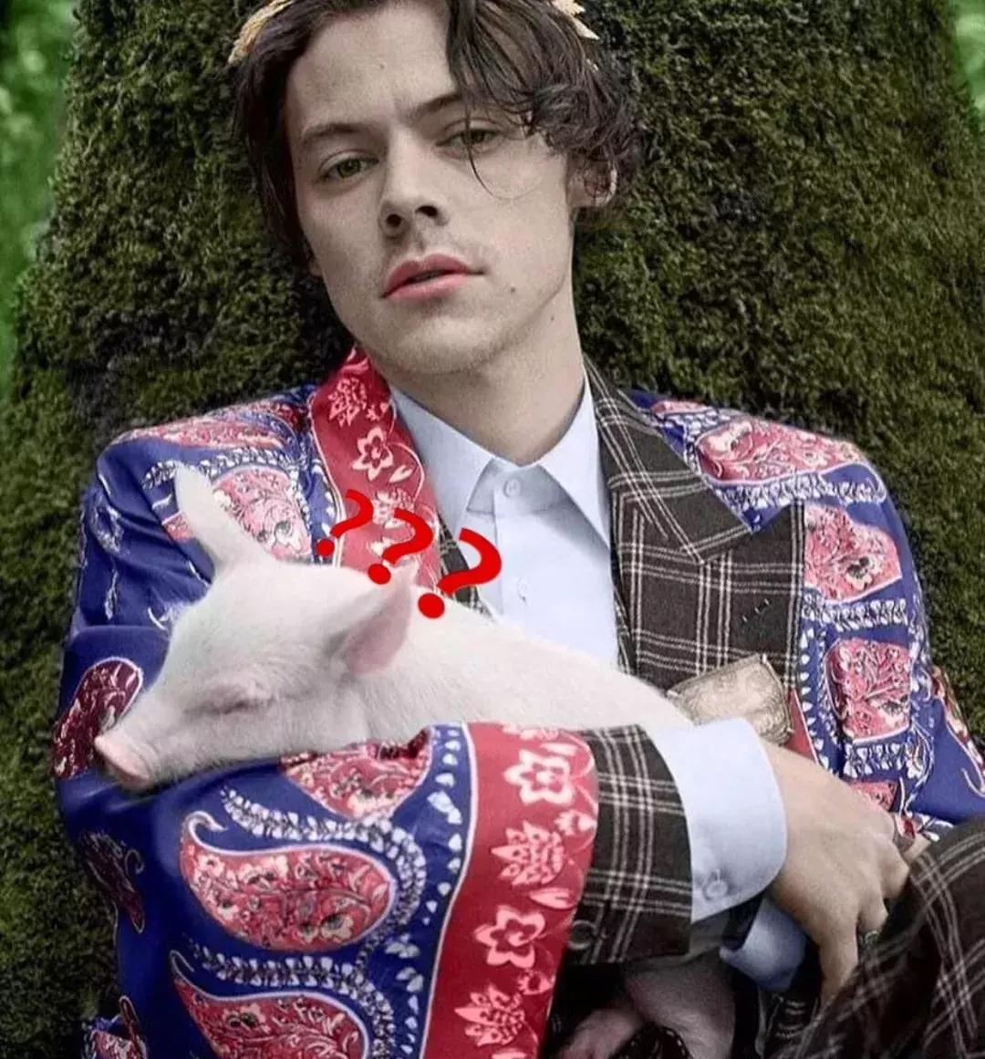 欧阳娜娜戚薇综艺发型,欧阳娜娜清纯可爱