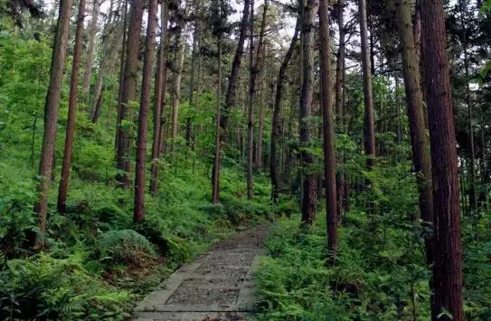 贵州60个重点景区名单,贵州5个风景区