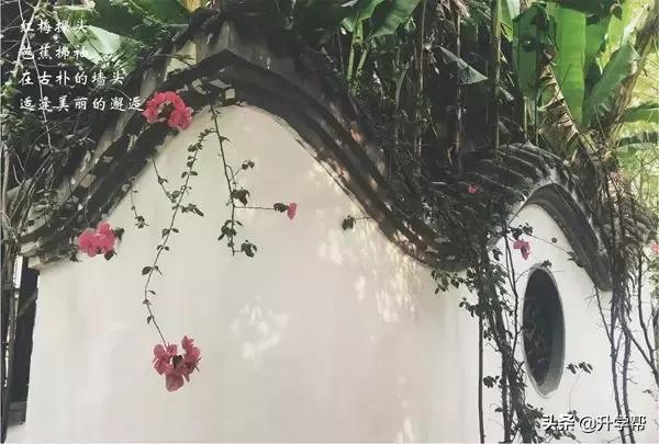 成都七中最著名校长,成都七中历任校长有哪些