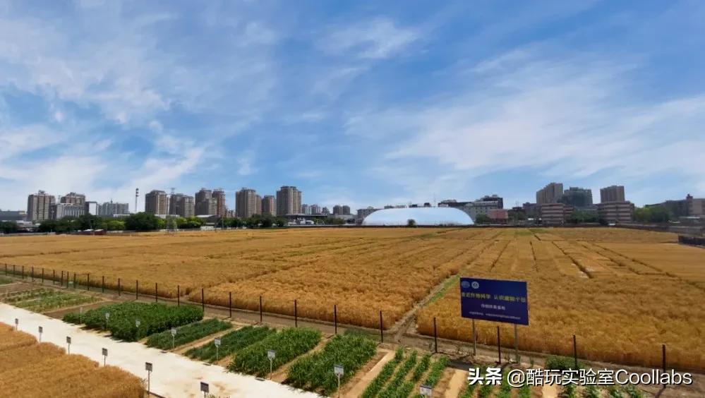 北京三环农田,北京三环麦田房价