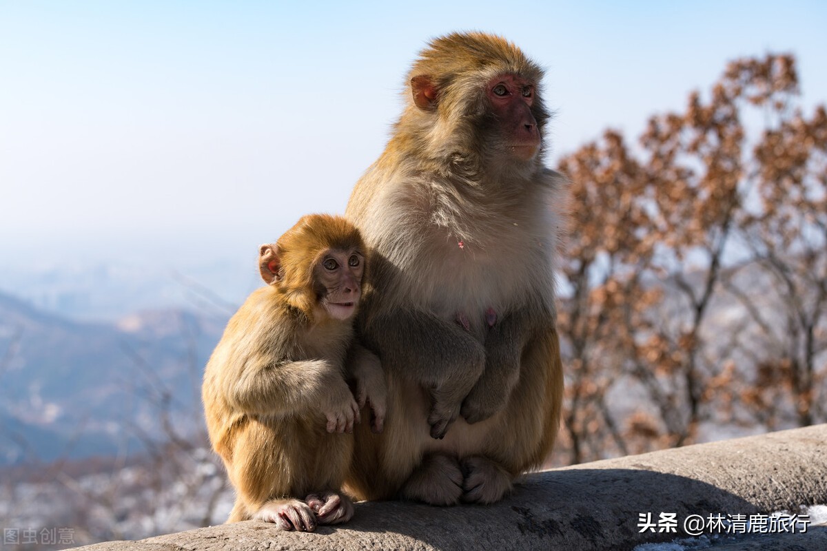最低调的海滨城市排名,最安逸舒服的海边小县城