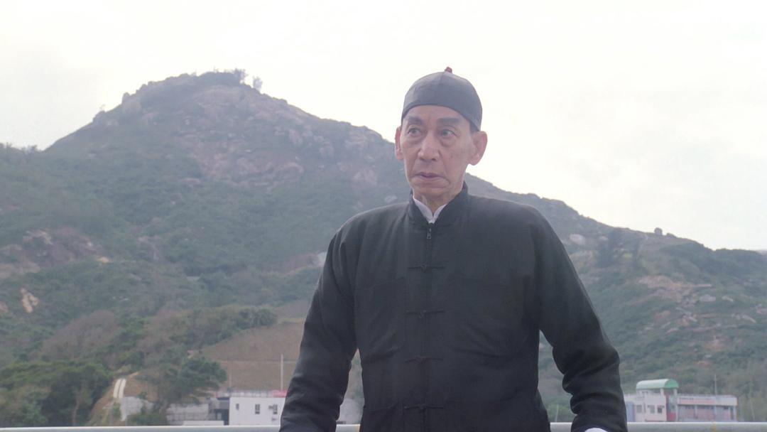 叶问4甄子丹电视剧,甄子丹演的叶问4免费观看