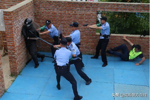 全警实战大练兵提升办案效率,全警实战大练兵加强执法训练