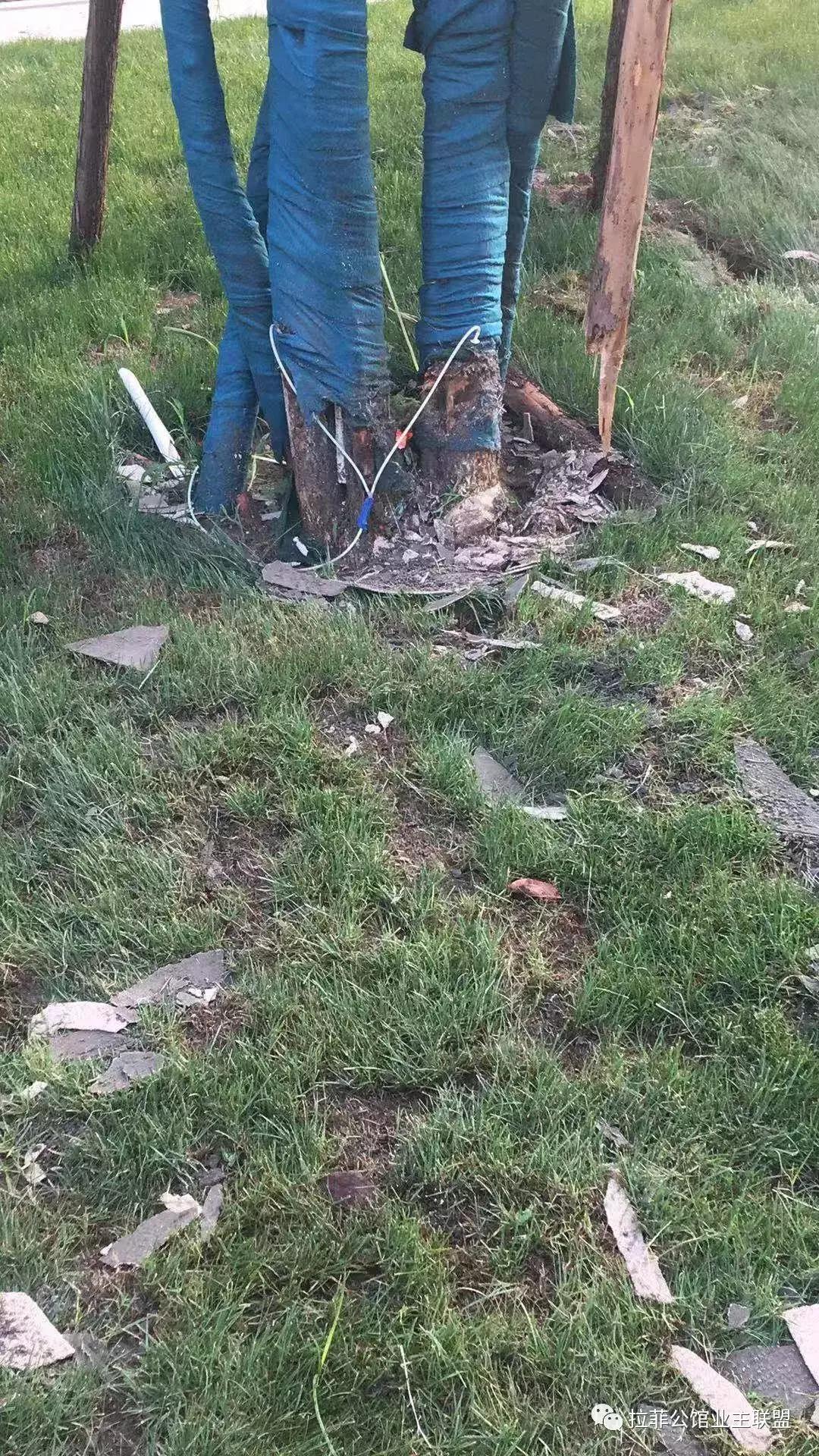 拉菲公馆事件真相,拉菲公馆事件视频